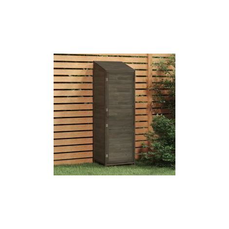 Remise de jardin Anthracite 55x52x174,5 Bois de sapin solide (1/5)