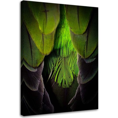 Tableau déco Plume Oiseau Nature Vert 60x90 (1/5)