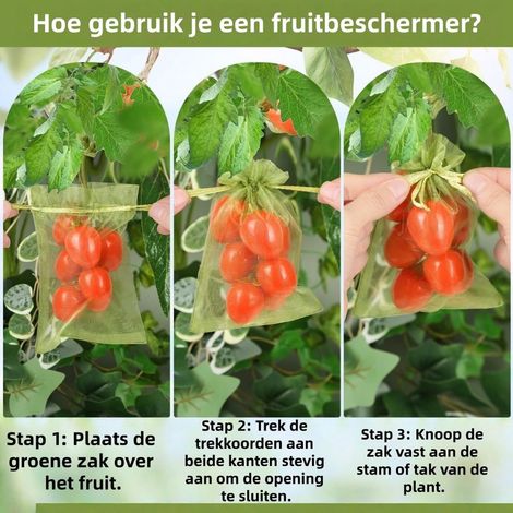 Lot de 100 filets de protection pour fruits et plantes contre les insectes 20 x 30 cm couleur verte
