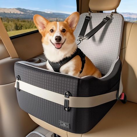 Dog Car Seat for Small/Medium Dogs up to 15 kg - Safety System, Memory Foam Cushion, 13 cm, Washable Cover, Double Sided Cushion, Ideal for Travel - Black (1/5)