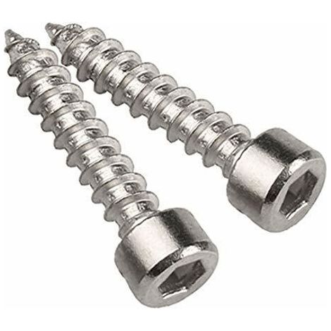 Vite Tcei Autofilettante 5,5x16 Inox 100 Pz Vt069