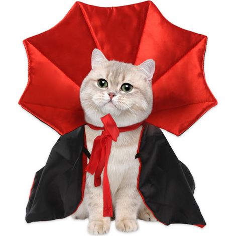 Cape de vampire pour animaux : idéale pour Halloween, convient aux chiens et aux chats, noire et rouge. (1/5)