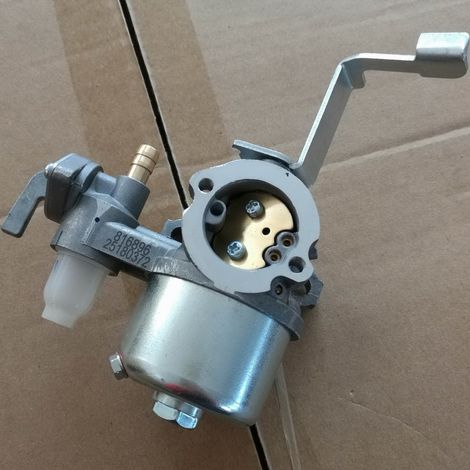 Carburateur Briggs & Stratton 796447 (1/3)