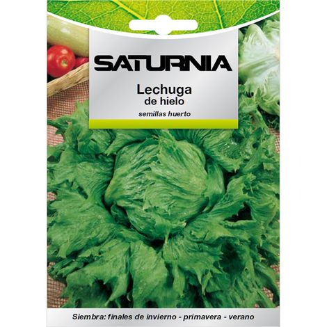 Semi di lattuga ghiacciata (7 grammi) (1/2)