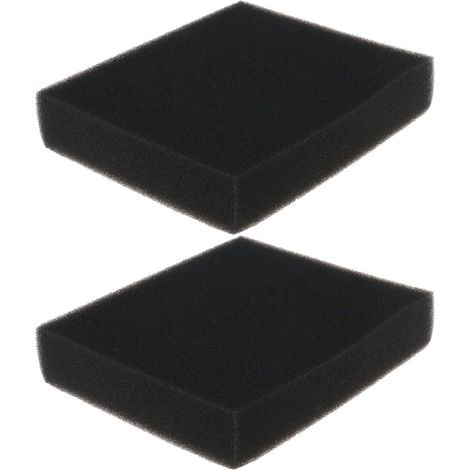 Lot de 2pcs Filtres à Air en Éponge Compatible avec RV40 RV150 SV40 SV150 V35 118550011/0 1111-9152-01 Filtre à Air en Mousse 13x11x2.3cm (1/5)
