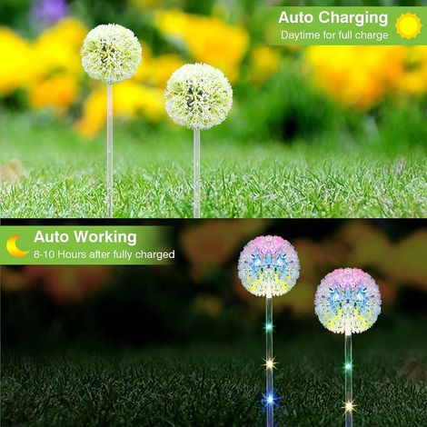 Lampe Solaire Exterieur, 4 Pièces Lampe Solaire Pissenlit avec Changement de Couleur LED, Étanche Lampe Solaire Exterieur Jardin pour Pelouse, Balcon, Terrasse, Cour, Halloween Decoration Noel (1/4)