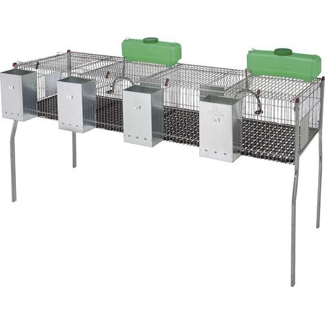 Gabbia per conigli a 4 scomparti con pavimento in plastica 200 x 62 x 99 cm dotata di tramogge e abbeveratoi.
