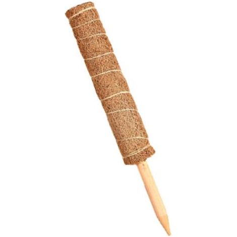 2 Pièces Tuteur Coco, Tuteur Plante, Poteau De Coco Bâton De Coco pour La Maison Jardin Grimpantes Extension De Support De Plante(40cm) (1/5)