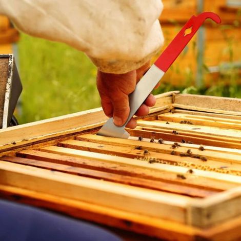 2 Outils apiculture,Acier inoxydable,Couteau et grattoir J,Poignée rouge,Ruche (1/5)