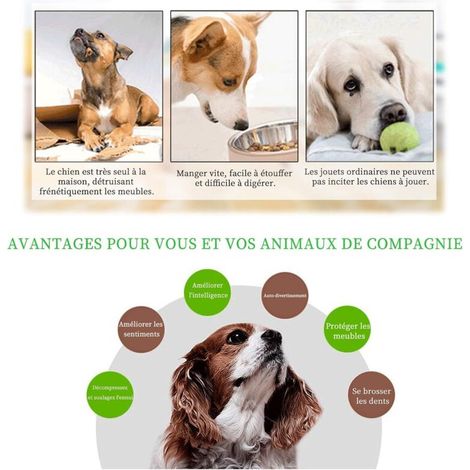 Puzzle per cani, distributore di cibo per cani, giocattolo interattivo resistente per cani, giocattolo per l'addestramento dell'intelligenza canina, migliora il QI (verde) (1/4)