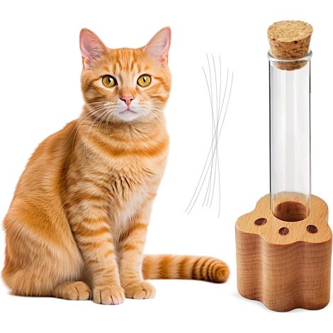Pot à moustaches, mini vase en verre, présentoir de souvenirs de chat (1/5)