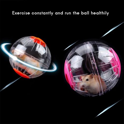 Pelota de entrenamiento para hámster – mini juguete de plástico transparente – 12 cm (1/5)