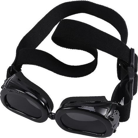 Die neue Haustier-Sonnenbrille (1 Stück)