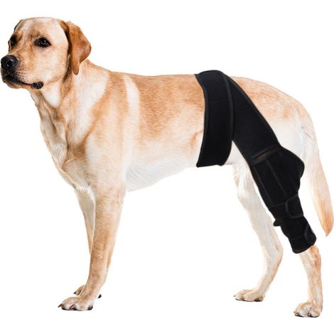 Rodillera para perros para las patas traseras, cómoda y con barra de soporte ajustable con dos estabilizadores, soporte para las patas traseras del perro, soporte adicional, color negro. (1/3)
