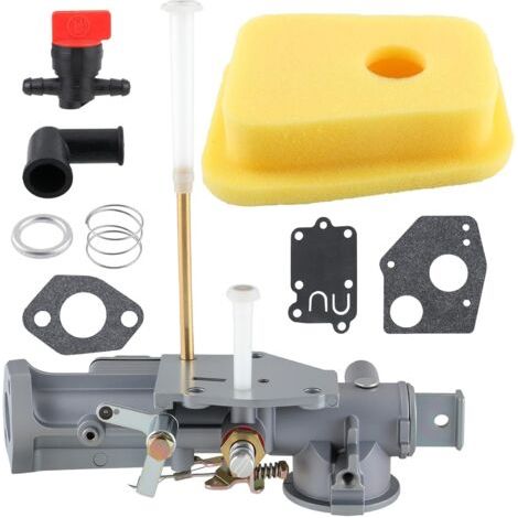 Carburateur AUTOKAY 299437 297599 Convient aux moteurs de la série 135200 130200 100200 Petit moteur à 4 temps 130201 130202 130203 130205 130206 135252 130251 130292 Carburateur avec joint de filtre (1/4)