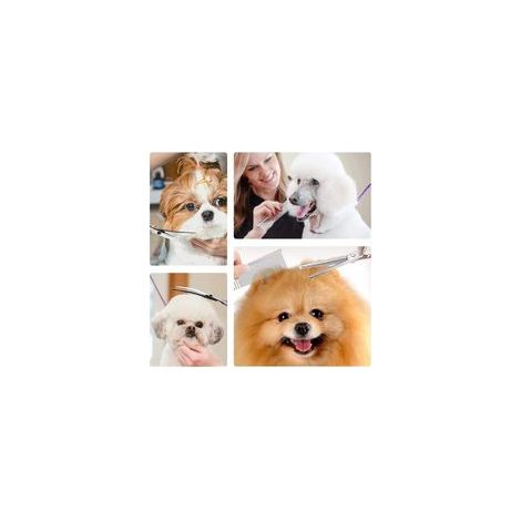 Hundefrisier-Set mit Hundeschere und gebogenem Scherkopf – rosa