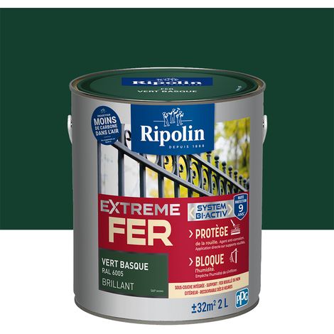 Peinture pour Fer Extérieur - Brillant - 2L - Vert Basque RAL 6005 - Ripolin (1/5)