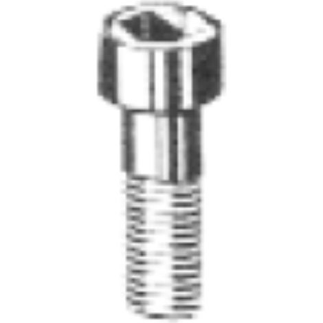 ORECA - 6 VITI PER METALLO - TESTA CILINDRICA CON ESAGONO INCASSATO 5X12MM - ACCIAIO ZINCATO