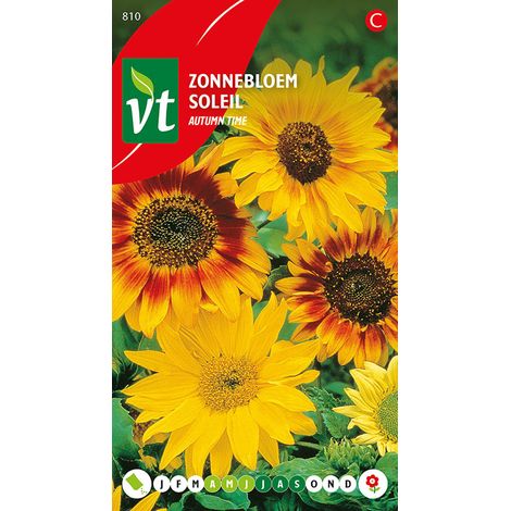 Tournesol Autumn Time - Ca. 1 gr (Livraison Gratuite) (1/2)