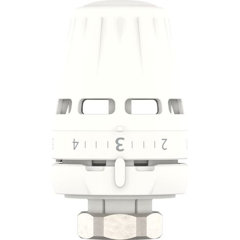 Tête Regus M30 bulbe incorporé - repère pour malvoyants Danfoss (1/5)