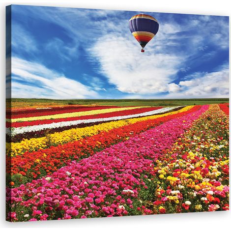 Tableau sur toile Fleurs Prairie Nature Paysage 40x40 (1/5)