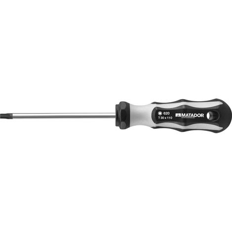 0620 0250 Tournevis 2K (TORX), T 25 x 100 mm
