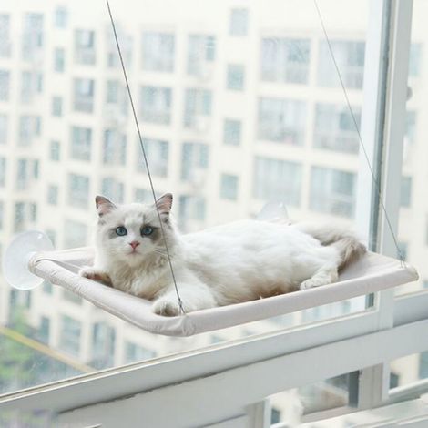 étagère de repos pour chat de sécurité montée sur fenêtre Siège ensoleillé Lits pour chats peu encombrants pour chats d'intérieur (1/4)