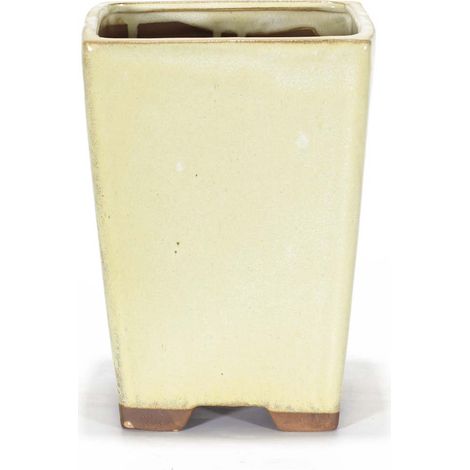 Vaso bonsai smaltato quadrato 14 cm Avorio (1/2)
