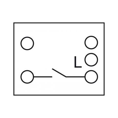 Delock - Easy 45 - Druckschalter - 1 Kippschalter - 10 A - Wechselstrom 250 V - weiß, RAL 9003 (81359)