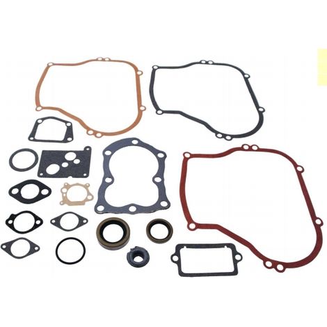 Serie guarnizioni motore BRIGGS&STRATTON motore rasaerba 100900 130900 131900