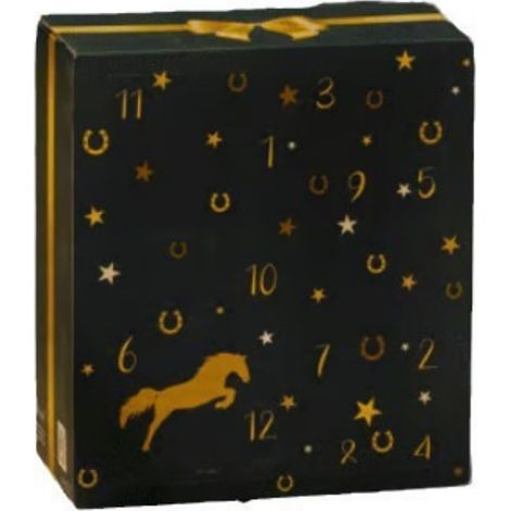 Calendrier de l'Avent design ciel d'hiver, Horse Calendrier de l'Avent, avec compte à rebours de 24 jours de chevaux, cadeaux et surprises pour propriétaires de chevaux, cavaliers et écuries