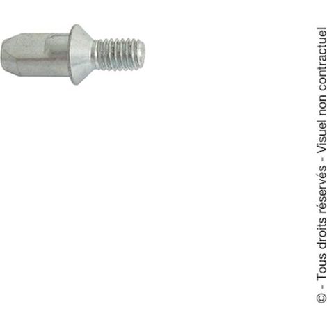 Pion M6 pour cassette de protection de paumelle universelle - MONIN