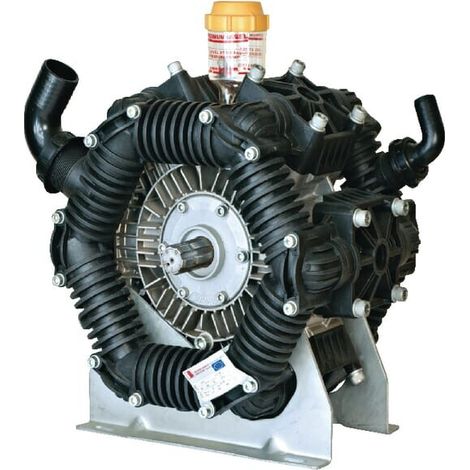 Pompe à pistons BERTOLINI 146013973VD