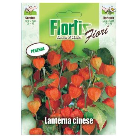 Lanterna Cinese