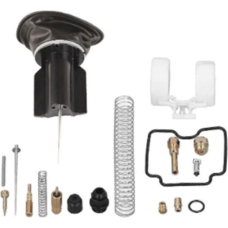 Passend für Vergaser-Reparatursatz für Grizzly 660 4x4 2002-2005 YFM660FW