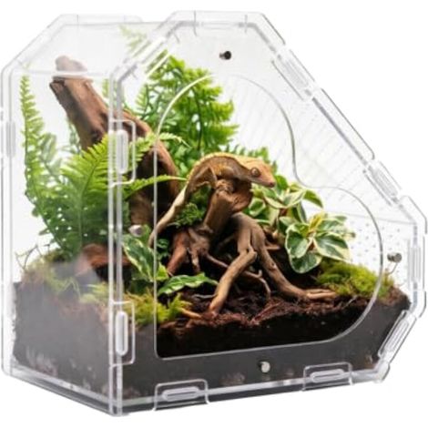 Terrarium pour Araignée Maison Coeur Acrylique avec Porte Magnétique (1/5)