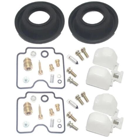 NALOOKAMIC Compatible avec Suzuki GS500 2001 2002 GS 500