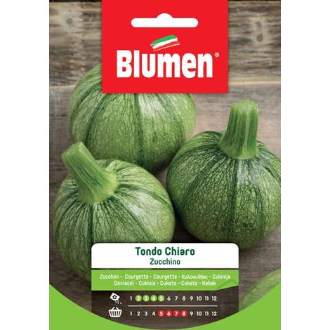 Semi Blumen zucchino tondo chiaro