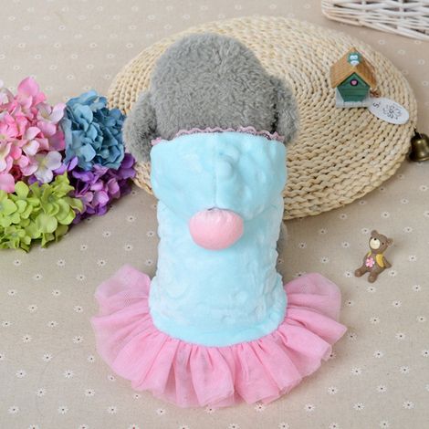 Vêtements mignons en peluche pour chien et chat, robe de princesse, chaude et à capuche, idéale pour l'automne et l'hiver (1/5)