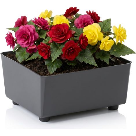 Jardinière Carrée avec Pieds Élégants – Bac À Fleurs Anthracite en Plastique Robuste 28,5 x 28,5 cm, 7,5L – Résistant Aux Intempéries (1/5)