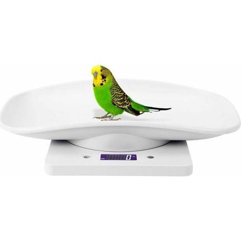 Balance Numérique Animaux, 10kg/1g Précision, Pèse Chats Chiens, Balance Cuisine Électronique, Outil Mesure (1/4)