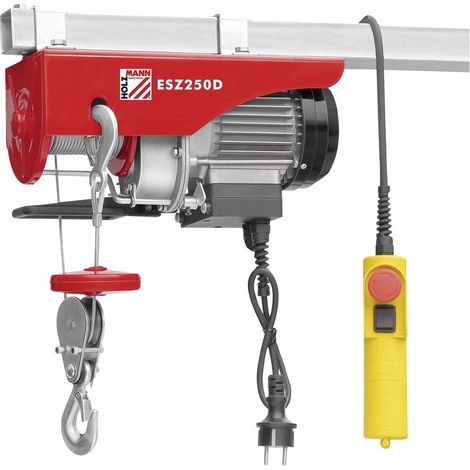 Holzmann Maschinen ESZ250D 230V Treuil électrique acier (1/2)