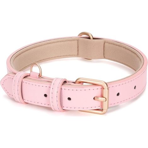 Collare per cani, stile classico, morbido, traspirante e impermeabile (S) (1/4)