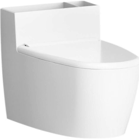 Cendrier mural avec couvercle pour salle de bain, en forme de toilette (1/4)