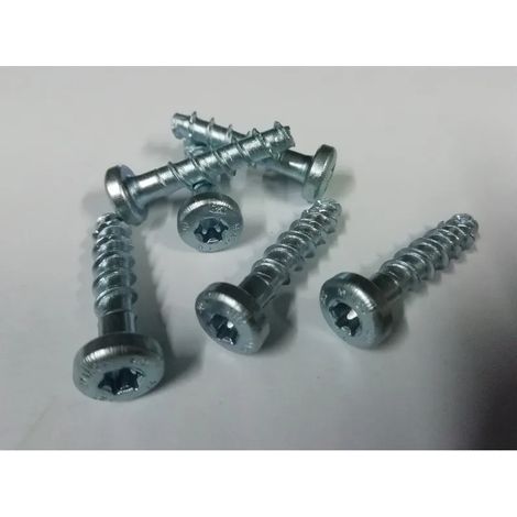 MULTI MONTI HECO 631A TESTA CILINDRICA ZINCATO MM. 6X 30
