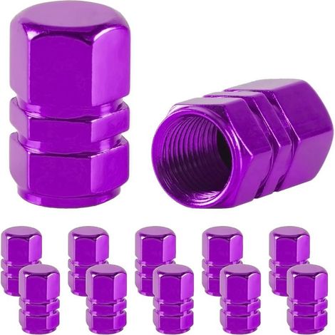 Bouchons de valve pour pneus de voiture, lot de 12, compatibles avec voitures, SUV, vélos, camions et motos - Noir (1/5)