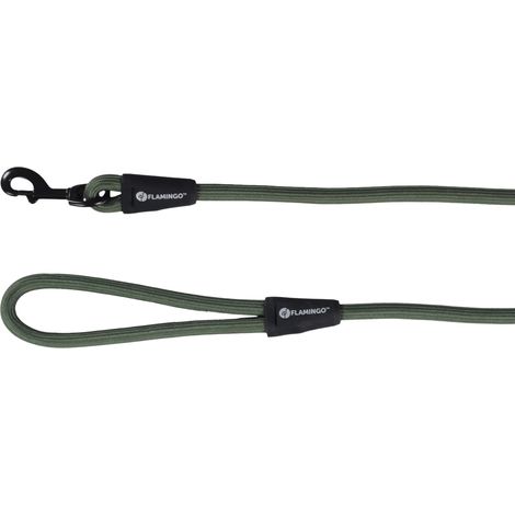 Laisse Chien - Cami Vert – 130cm L x 1,2cm l x 1,2cm H (Ø 1,2cm) – Nylon – Mousqueton Noir Brillant – Style sûr et Tendance