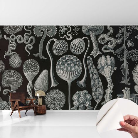 Tapete adhésive moderne pour salon et chambre à coucher Décoration rapide avec colle Plantes magiques 416x254 cm (1/5)