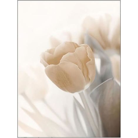 Affiche Lot de 3 photos Beige vintage Sans cadre photo, 40 x 50 cm (1/4)