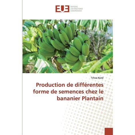 Production de différentes forme de semences chez le bananier Plantain